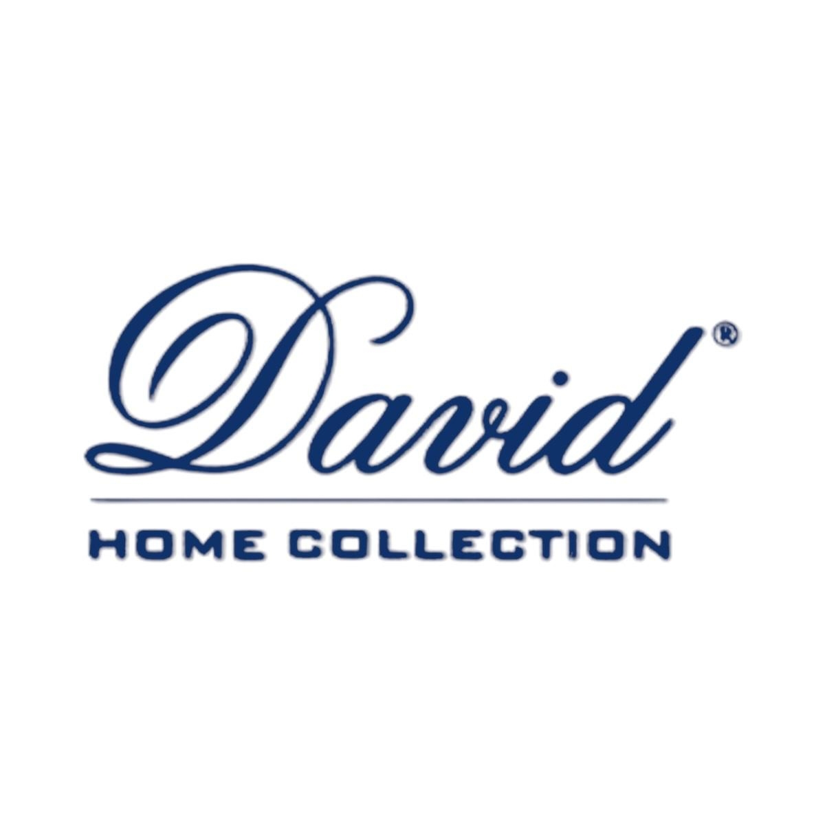 David home