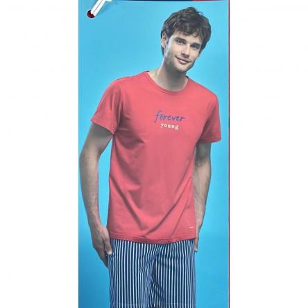 Pigiama Uomo Corto FC2467