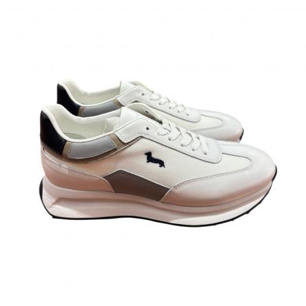 Scarpa Uomo Harmont & Blaine EFM251.070.6140