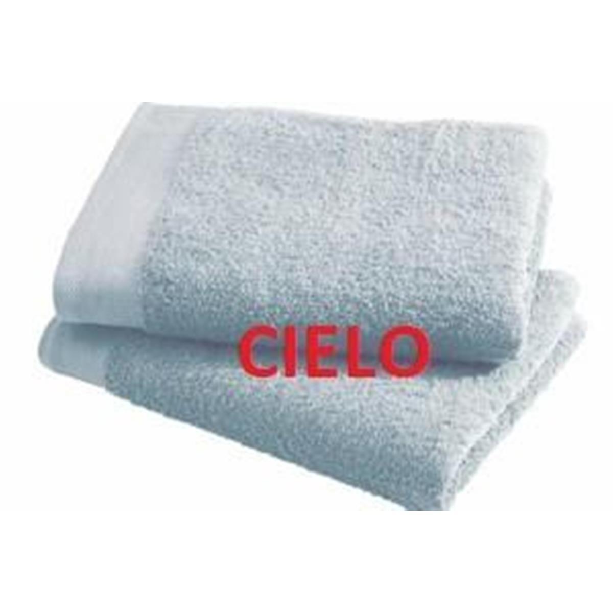 Ospite Spugna 40x60 Voglia Di Colore