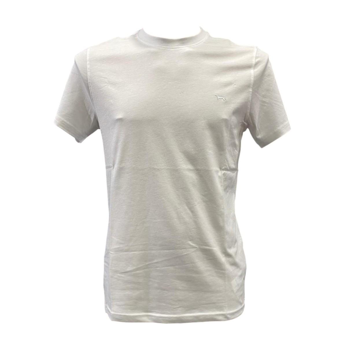 T-Shirt MM Uomo H&Blaine 40021055